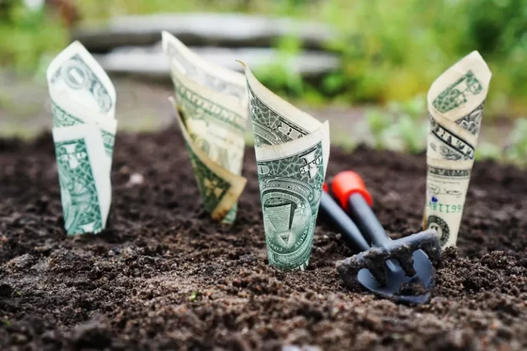 Inversiones: De criptomonedas y acciones, a proyectos ecológicos