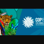 captura_de_pantalla_2024-07-23_a_las_10.11.14