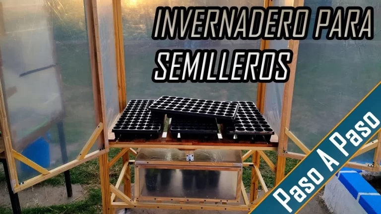 Cómo hacer invernaderos para semilleros