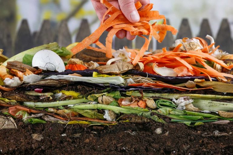Reciclar en Casa: fabricación de compost