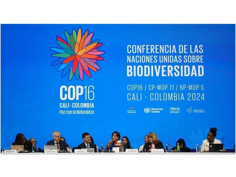 2° parte de la Conferencia de las Naciones Unidas sobre Biodiversidad