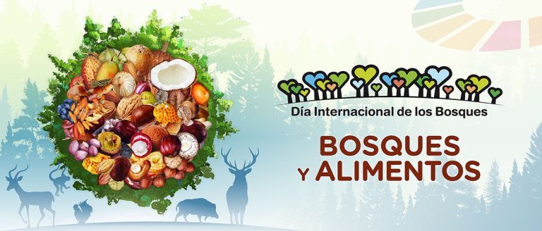 Transición Ecológica se sumó ‘Día Internacional de los Bosques 2025’
