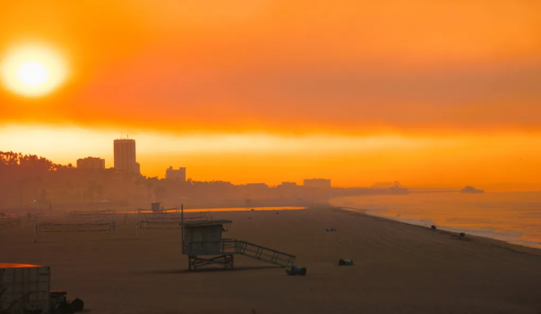 ¿Qué es el estrés térmico? Conoce este concepto relacionado con las temperaturas extremas