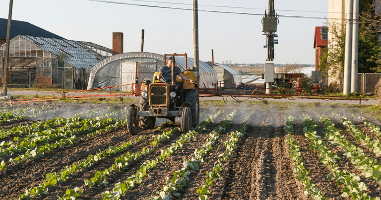 Gestión de residuos en la industria alimentaria y su impacto en la salud humana
