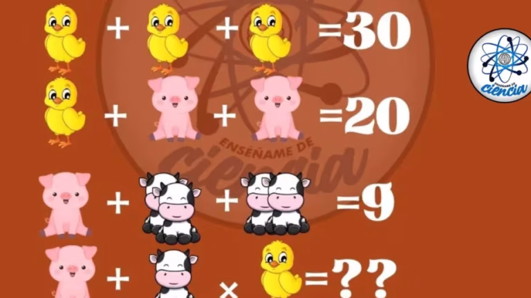 Acertijo visual para expertos: resolvé el desafío matemático