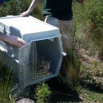 MTGXNFJW7BGBPK7LO7RR5CAY7U