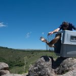 Y7XSXD4JLNBXDENX2BWZYCSPDE