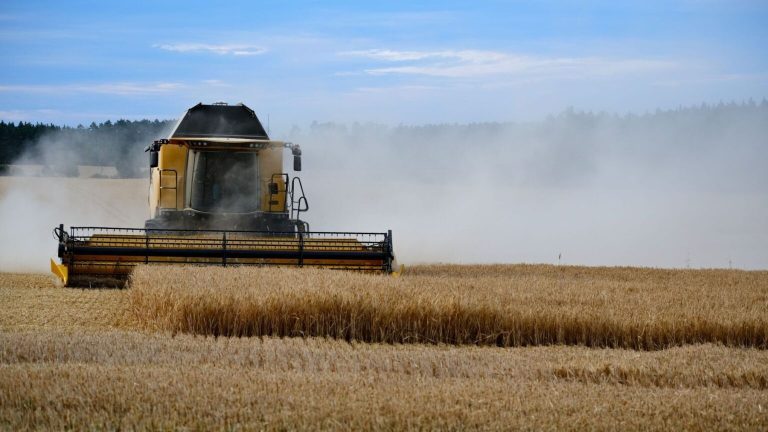 Cómo la bioeconomía circular puede transformar el campo y la industria convirtiendo residuos en oportunidades