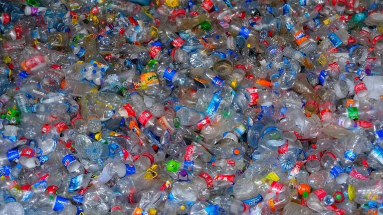 La Unión Europea fija nuevas normas para el plástico reciclado en botellas y refuerza la economía circular
