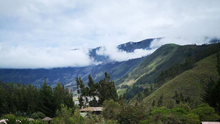 Descubren una nueva especie de orquídea en Ecuador en peligro crítico de extinción en un bosque nublado