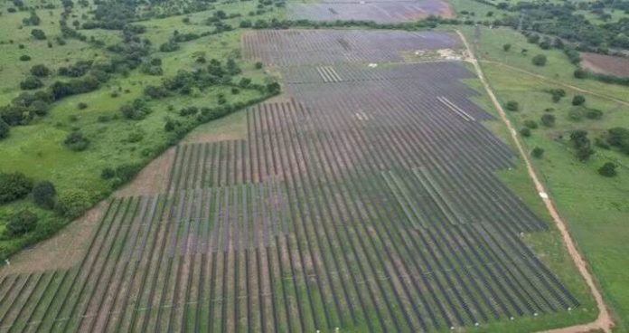 restauracion ecologica